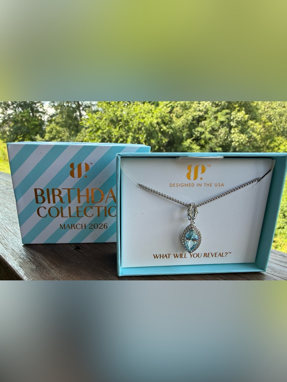 Bomb Party March 2026 Necklace An Entire Mood New